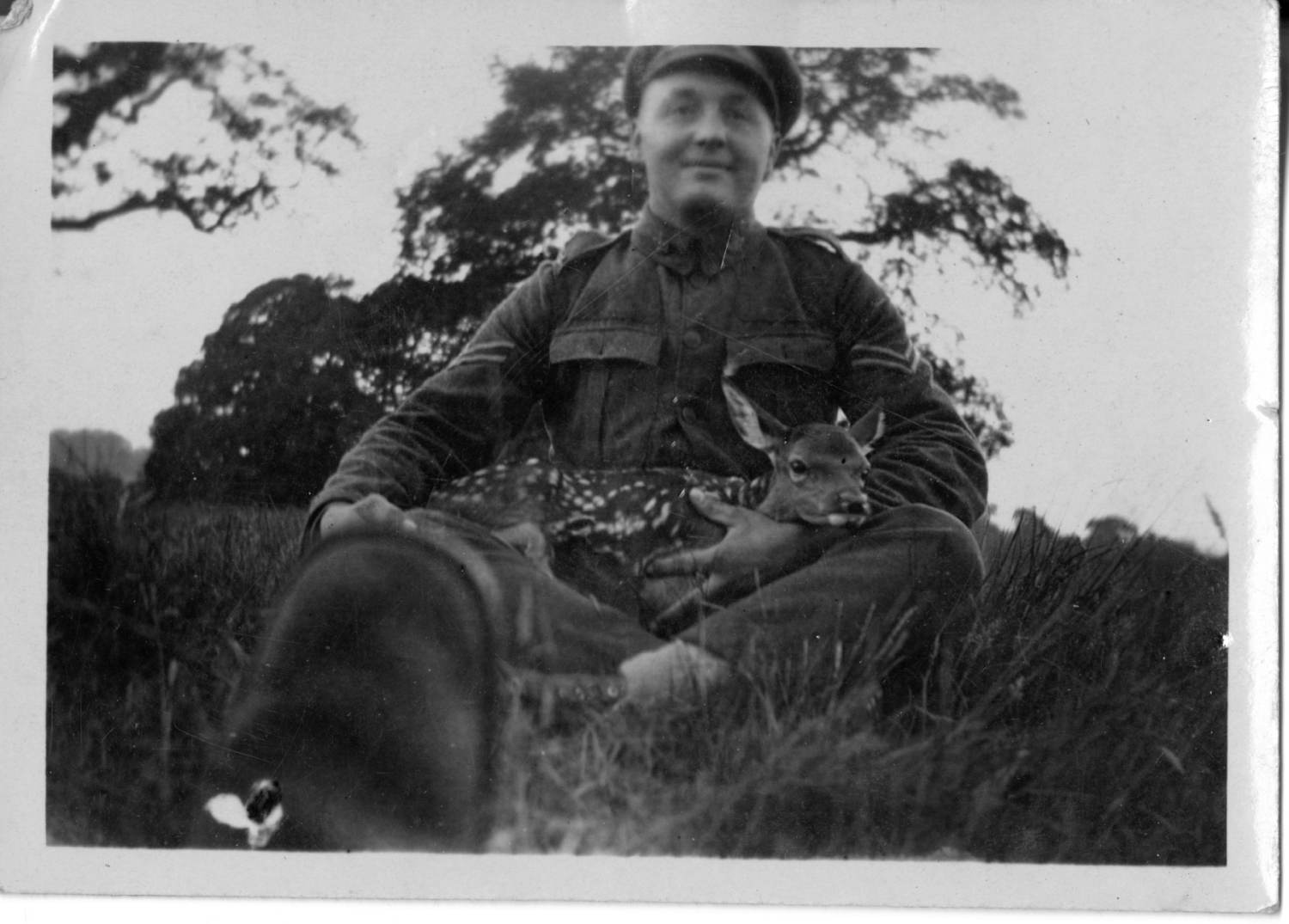 An unidentified soldier holding a fawn in his lap, Second World War. 