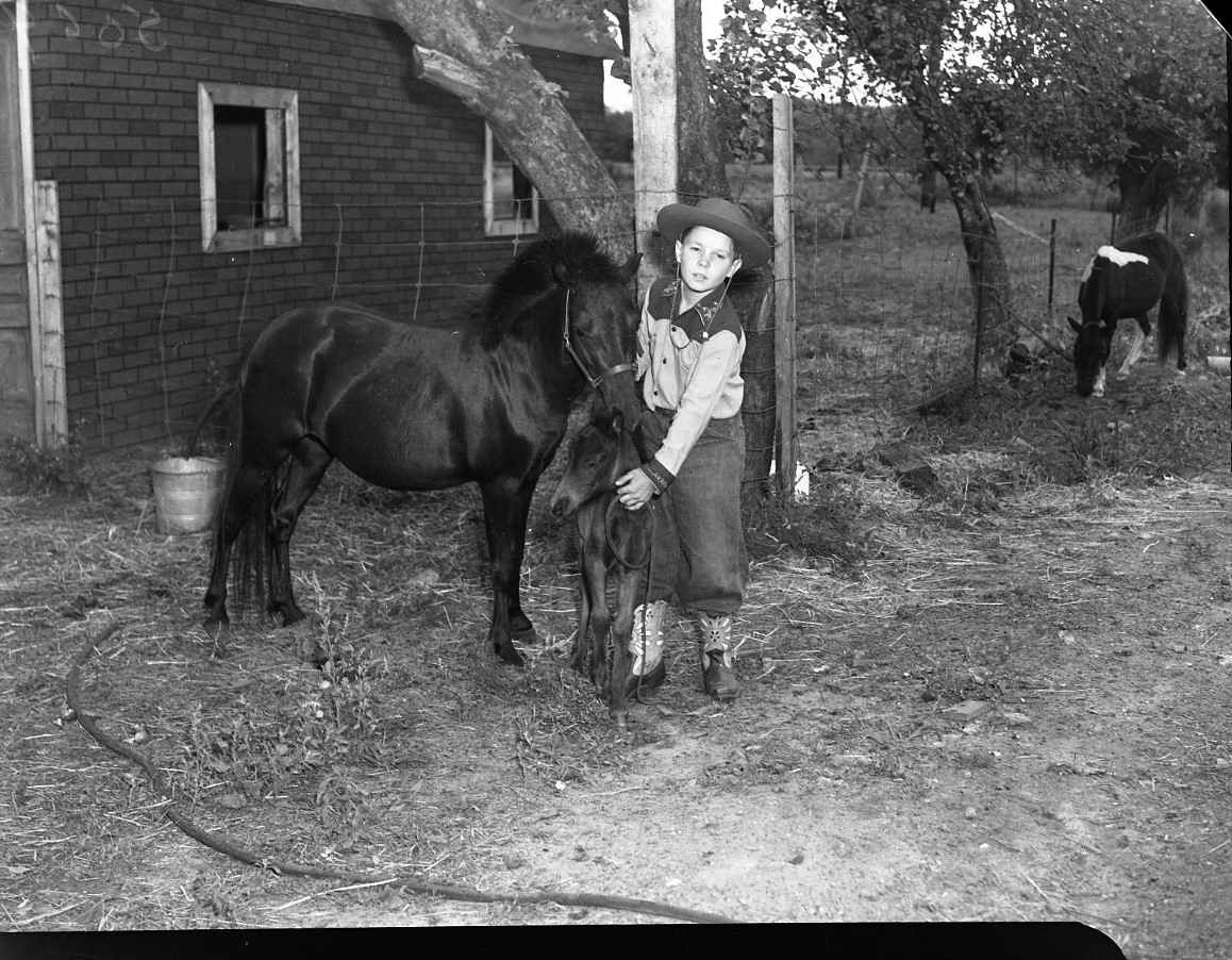 Little boy wearing a cowboy costume is posing in front of a brick building and a wire fence. He is holding the reins of a dark coloured pony with a foal at his feet. There is another pony grazing in the background.