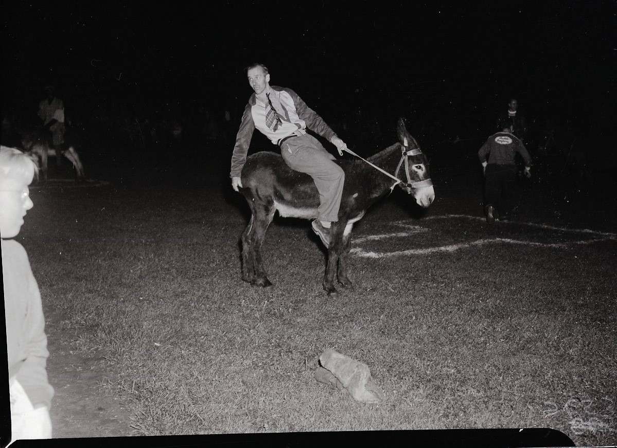 A man in a dark field riding a donkey, playing a game of donkey baseball.