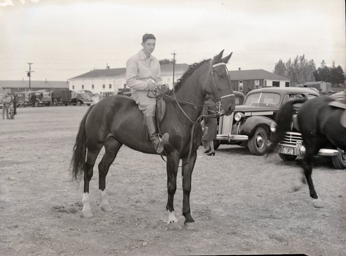 A man riding a dark coloured horse in a parking lot. He is surrounded by automobiles with barn-like buildings in the background.