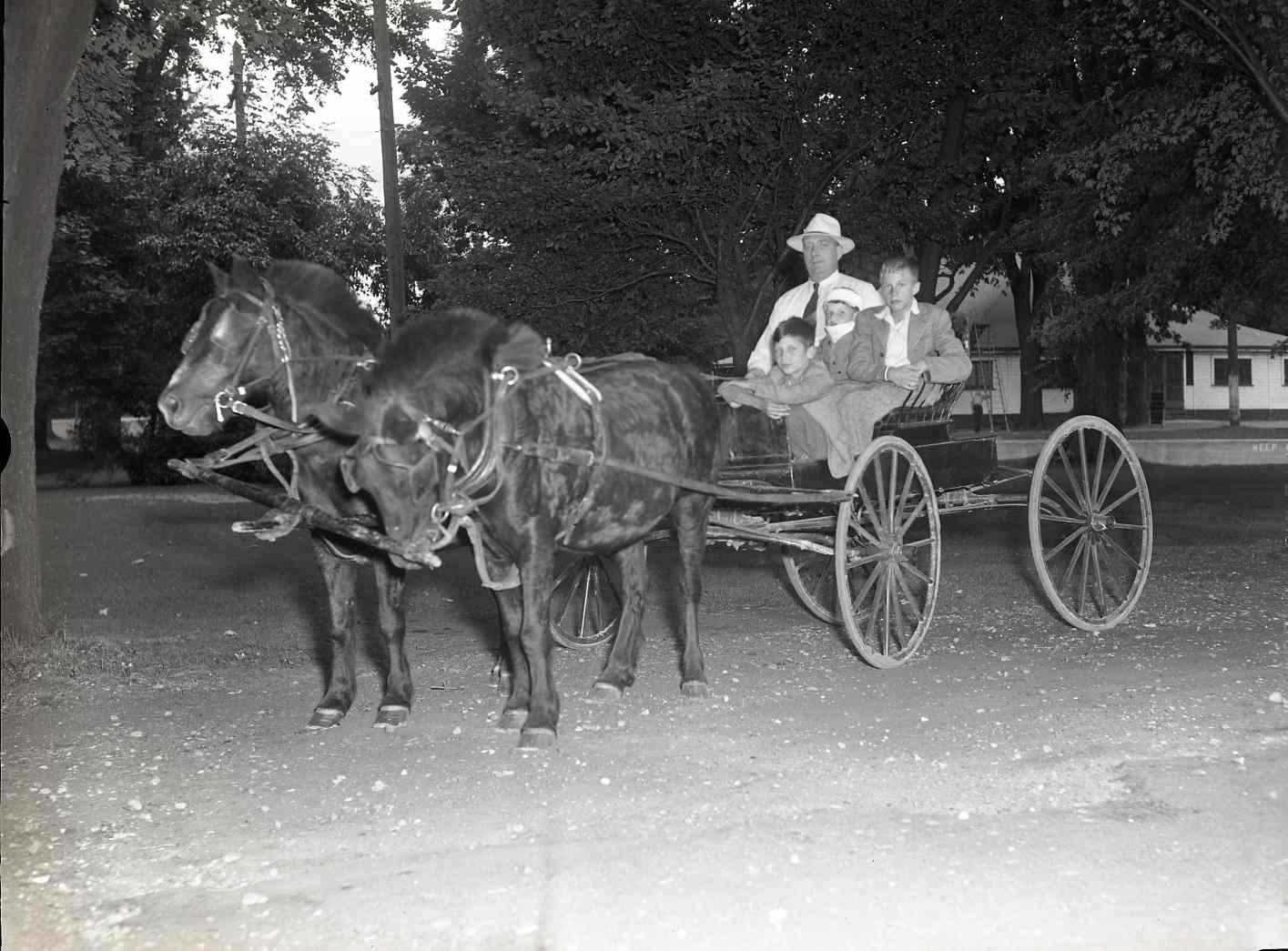 A man and three boys are sitting in a horse-drawn buggy in a park. Two dark coloured horses are pulling the buggy. The mean is wearing a dress shirt and fedora, the boys are wearing dress pants and suit jackets.