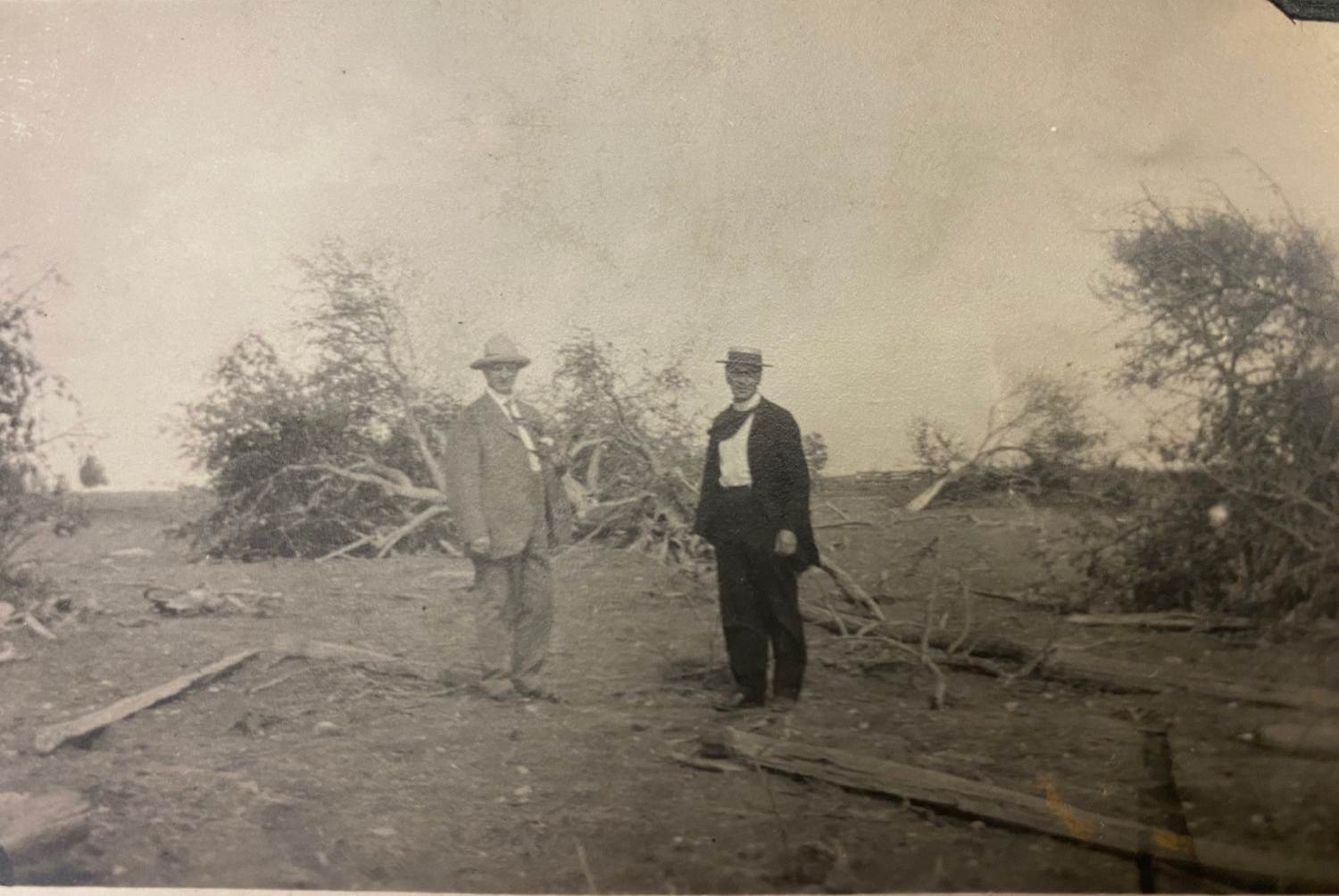 Two men in suits are standing in a farm field with uprooted trees around them. Black and white photo.