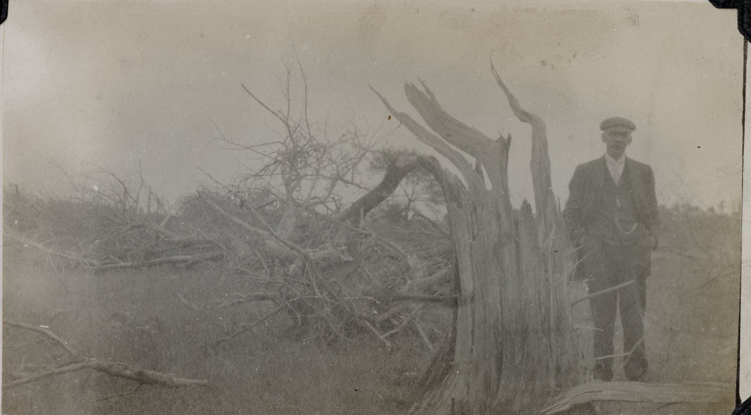 A man in a suit standing beside a tree broken in half by a tornado. Black and white photo.