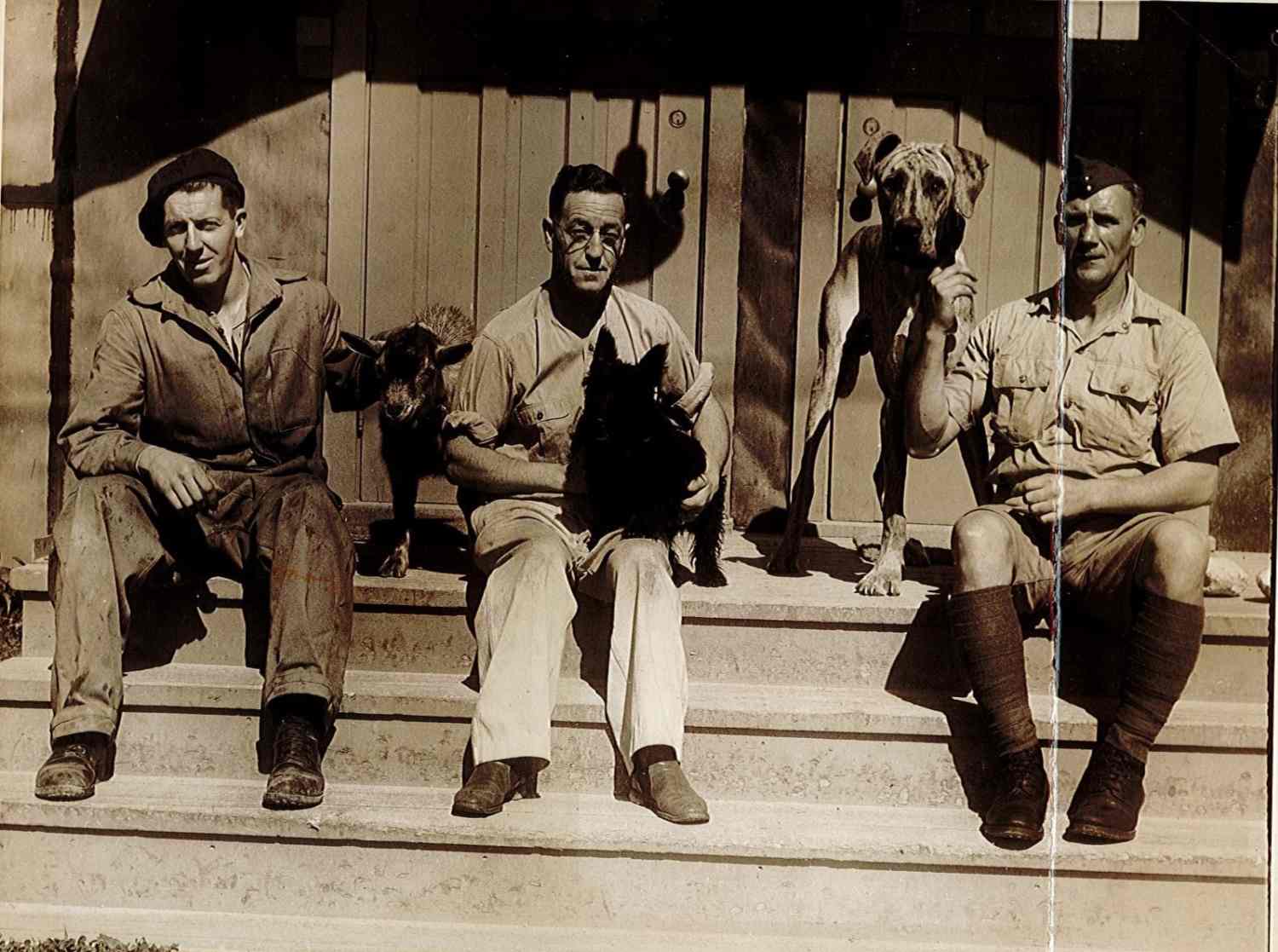 Several men with two dogs and a small goat. One dog is a large Great Dane, the other dog is a small terrier. The men are sitting on the steps in front of a building, wearing uniforms at the Woodstock Advanced Driving & Maintenance School.