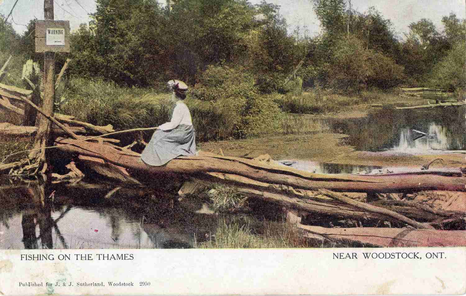 A postcard featuring a colourized photograph of a woman seated on what appears to be a dam made of a fallen tree, sticks, mud, and grass. She is seated on the fallen tree, holding a homemade fishing pole in her hand. She is wearing a white blouse with a long grey skirt. She has a large decorative hat on top of her head. She is fishing in the Thames River outside of Woodstock, Ontario. In the background there is a sign posted on a tree that reads 