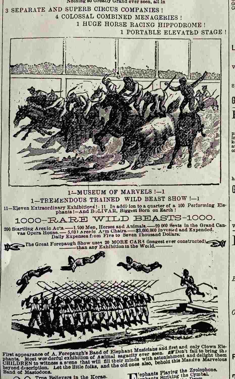 Newspaper advertisement for the Great Forepaugh Show in Woodstock for September 8, 1884. Featuring pictures of men riding bucking horses and men jumping over one another.