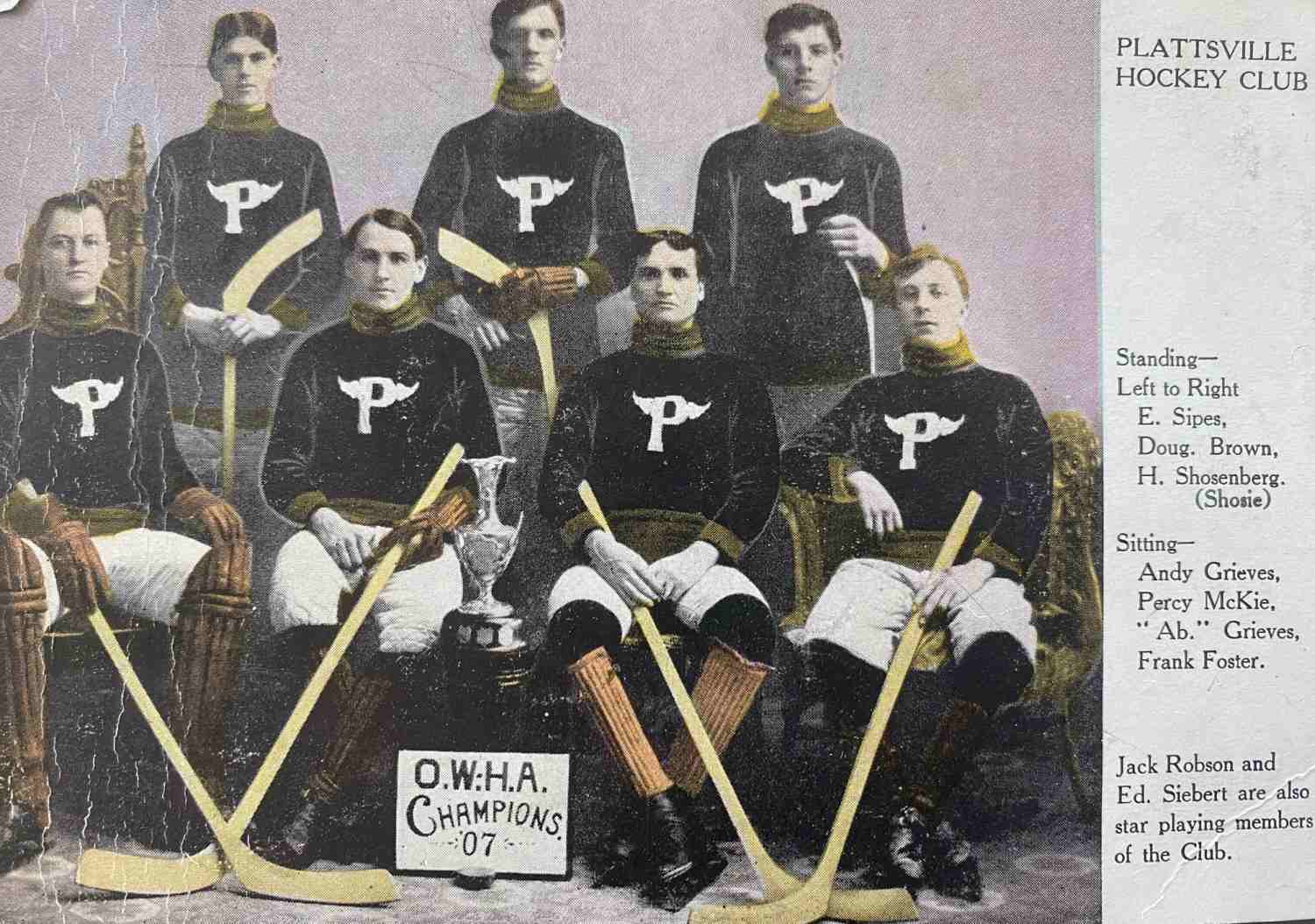 A photo of the members of the Plattsville Hockey Club wearing their hockey jerseys and holding hockey sticks.