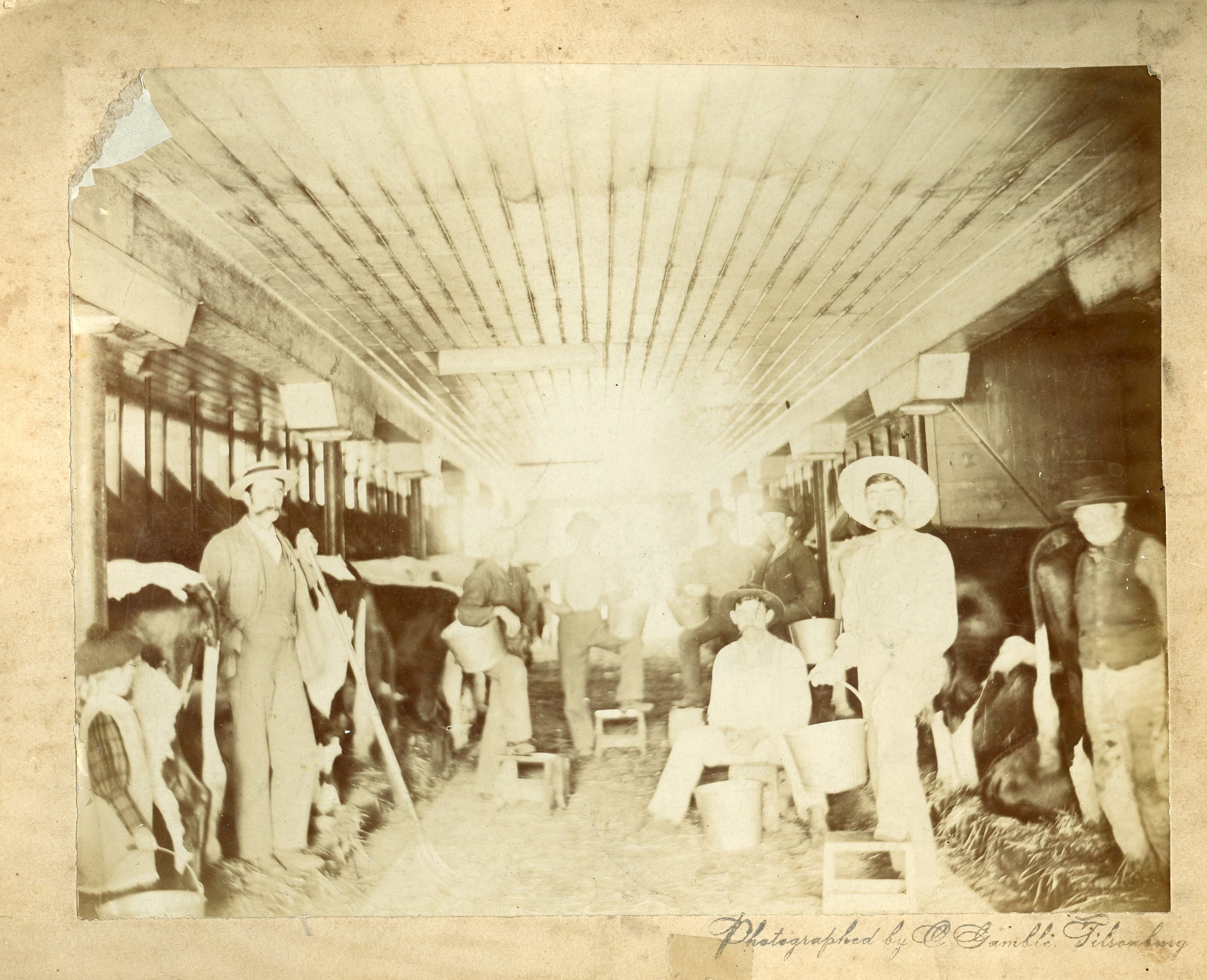 The interior of the Annandale barn on Tillson's model farm, circa mid-1890s to early 1900s. [courtesy of Annandale N.H.S. & Museum]