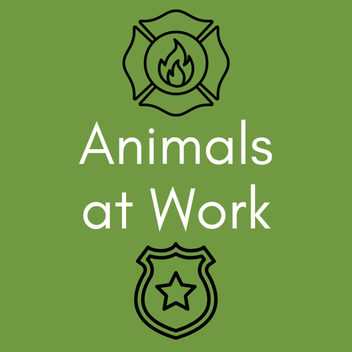 Animals at work