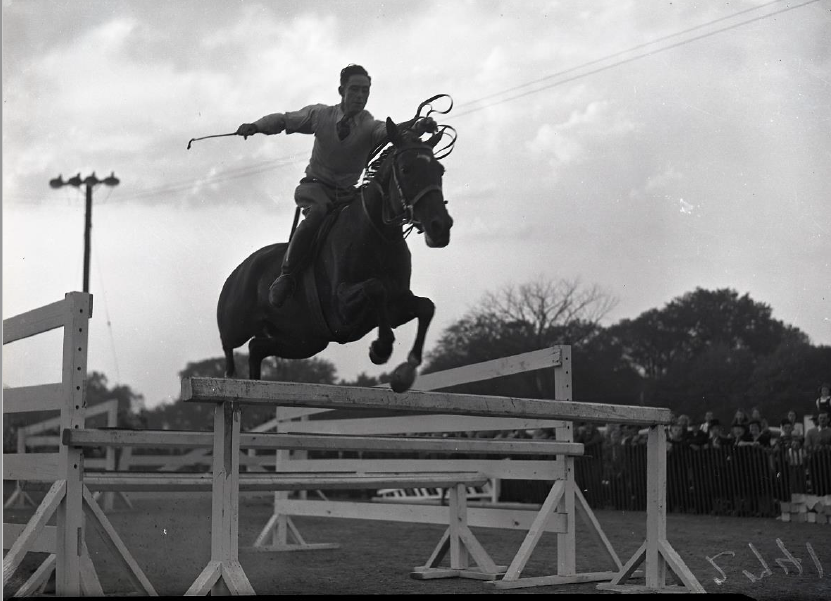 Show Jumping