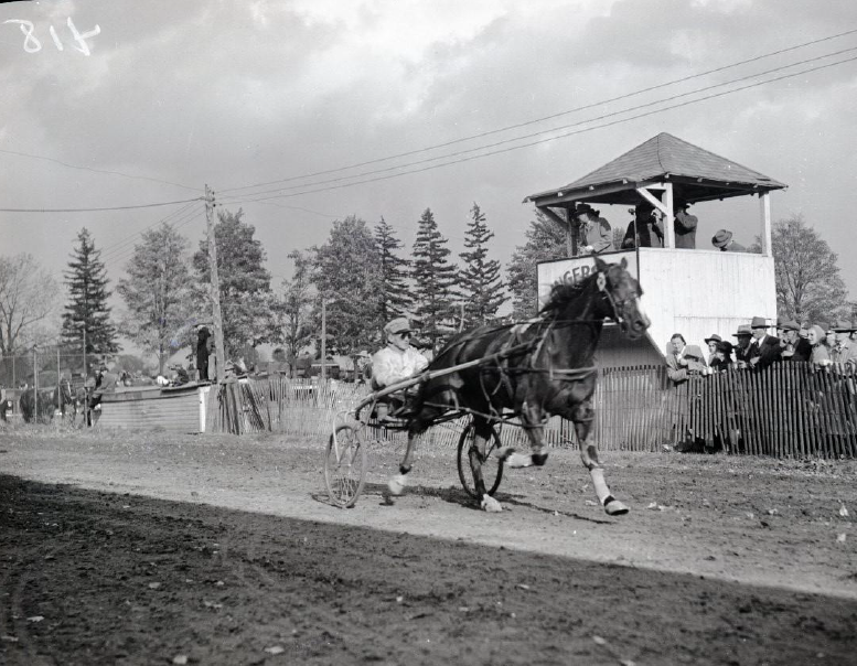 Man harness racing at Ingersoll Turf Club (COA123 2-37)