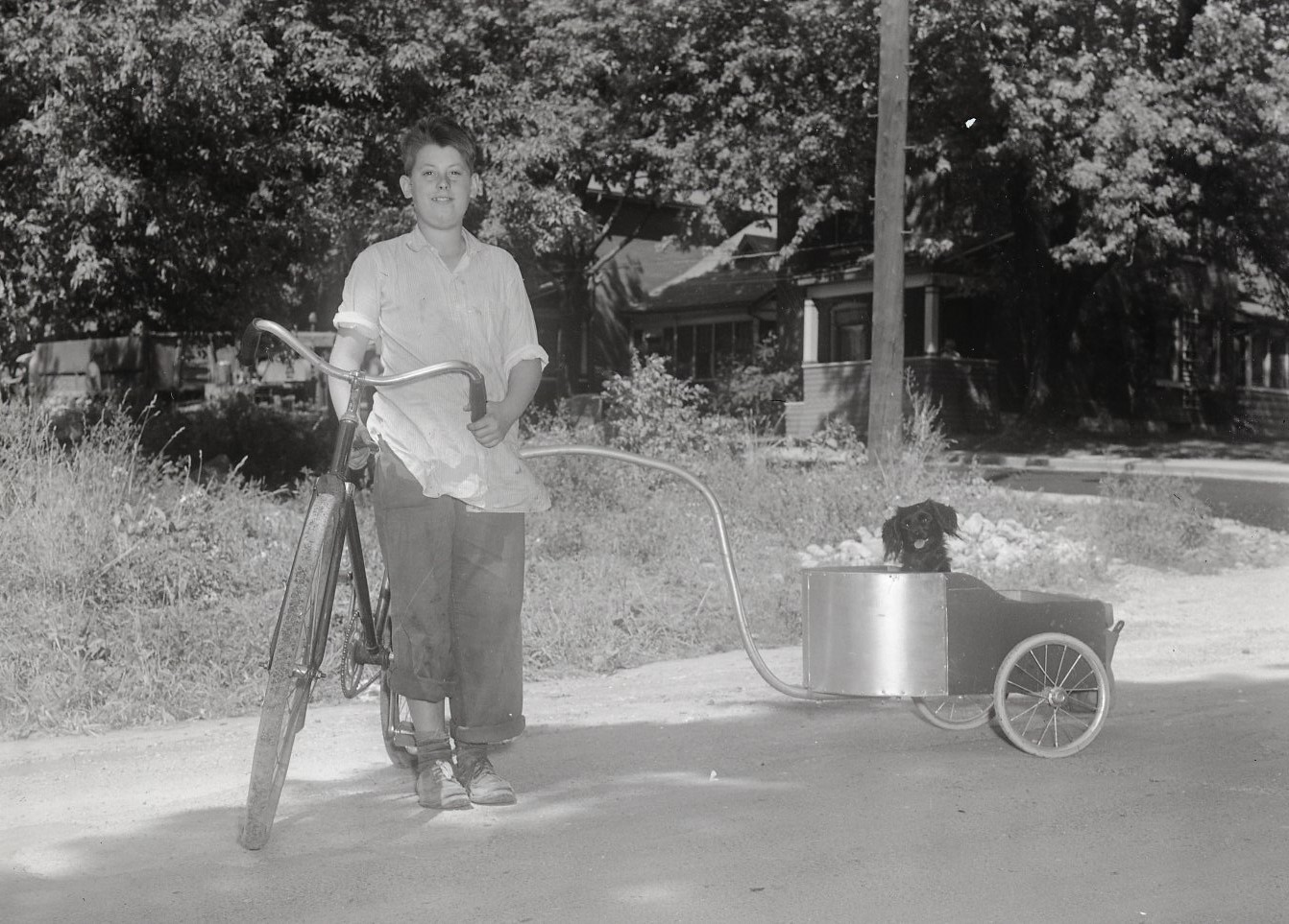 Boy standing beside bike with trailer attached with dog in it (COA123 6-94)